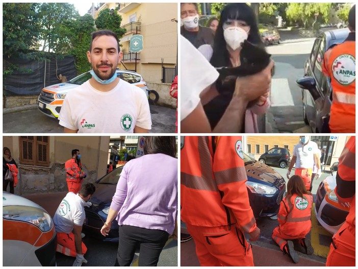 Imperia: gattino incastrato nel vano motore di un'auto, a salvarlo un milite della Croce Bianca (foto e video)