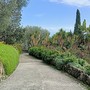 Ventimiglia, i Giardini Hanbury all’imbrunire: ecco il primo dei quattro appuntamenti di agosto