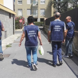 Imperia: oggi in prefettura il giuramento di otto guardie ambientali zoofile