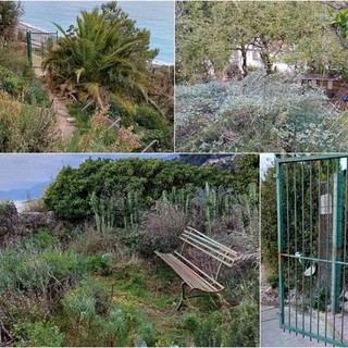 Ventimiglia, Scullino: &quot;Trascurato il giardino nell'ex convento delle Suore dell'Orto, è una boscaglia&quot; (Foto)