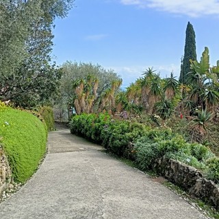 Ventimiglia: ogni mercoledì ai Giardini Hanbury visita guidata all'imbrunire con aperitivo