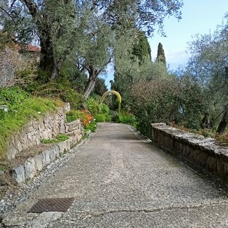 Ventimiglia: il 28 settembre ai Giardini Hanbury il percorso multisensoriale dal titolo 'Il giardino incantato'