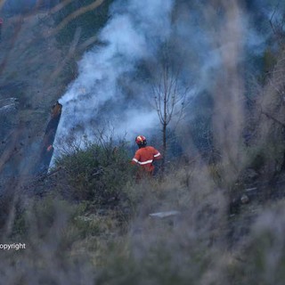 Imperia: piccolo incendio di sterpaglie in regione Panegai, intervento di VVF e Volontari