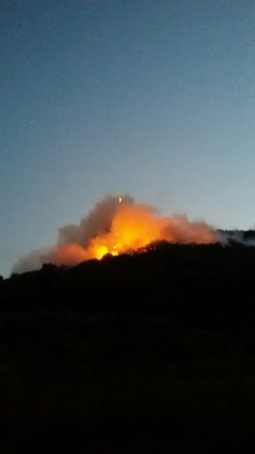 Liguria nella morsa del fuoco, Alessandro Piana (Lega Nord): “Roghi appaiono di origine dolosa. Protezione Civile, Forestale, Vigili del fuoco e Volontari sempre presenti&quot;