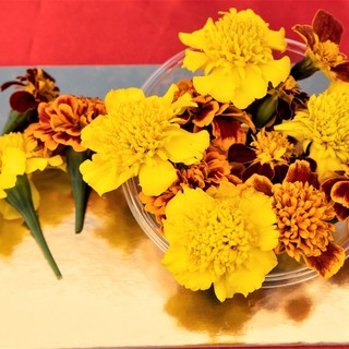 I fiori eduli del Ponente ligure protagonisti a Torino in occasione del Festival internazionale del Giornalismo Alimentare