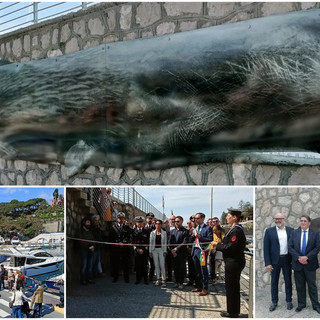 Bordighera inaugura “Pelagos Discovery”, museo a cielo aperto per scoprire e conoscere i cetacei del nostro mare (Foto e video)