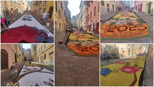 Infiorata del Corpus Domini di Imperia, una lunga distesa di petali in via Carducci