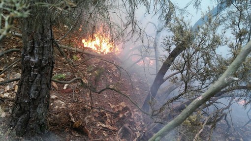 Sanremo: incendio a San Romolo, protezione civile e vigili del fuoco sul posto