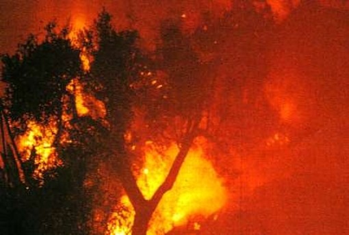 Regione: condizioni climatiche cambiate, cessato lo stato di grave pericolosità incendi boschivi