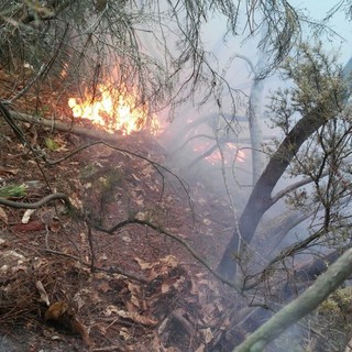 Sanremo: incendio a San Romolo, protezione civile e vigili del fuoco sul posto