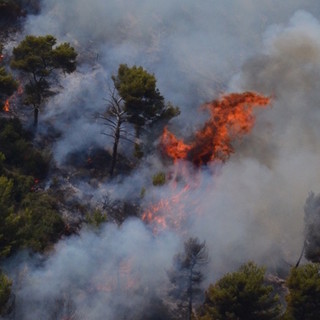 Sanremo: incendio boschivo in zona Valloni a San Pietro, intervento di spegnimento dei mezzi aerei