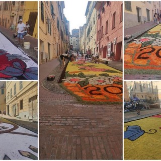 Infiorata del Corpus Domini di Imperia, una lunga distesa di petali in via Carducci