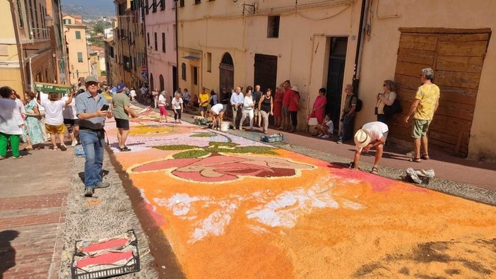 A Imperia si lavora all’Infiorata di via Carducci: svelata una “piccola parte” dell’immenso lavoro (foto)