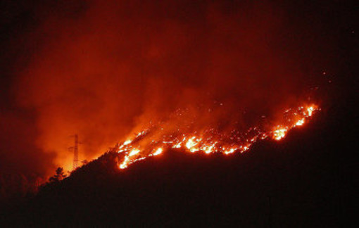 Ventimiglia, scatta lo stato di grave pericolosità per incendi boschivi. Di Muro: &quot;Invito alla prudenza&quot;