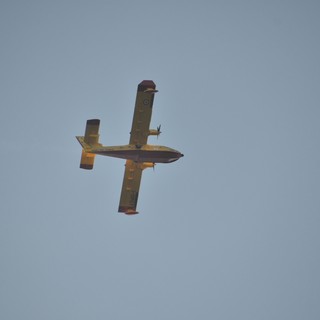 Spento l'incendio di stamattina a San Bernardo di Conio ma brucia il Monte Faudo: in arrivo il Canadair