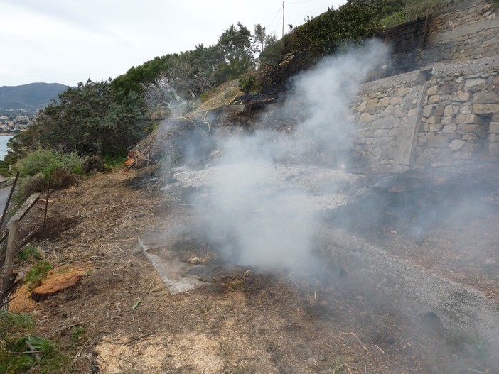 Triora: incendio di sterpaglie in località Burnica, intervento in atto dei Vigili del Fuoco