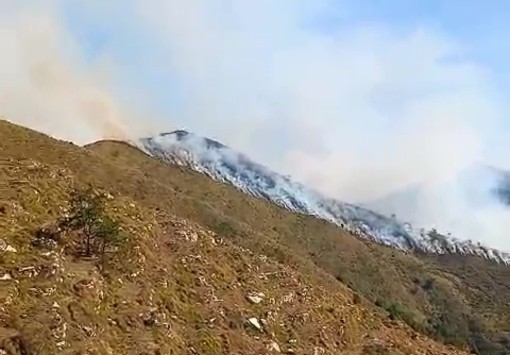 Montalto: vasto incendio in località Binelle, fiamme lontane dalle case ed elicotteri in azione