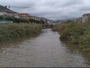 Maltempo a Imperia, le immagini della pioggia battente (video)