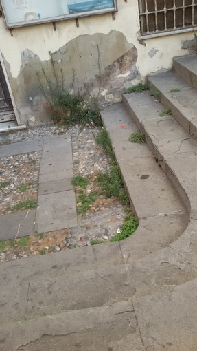 Sanremo: situazione di degrado nel centro cittadino, la segnalazione con foto di una cittadina