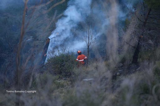 Imperia: piccolo incendio di sterpaglie in regione Panegai, intervento di VVF e Volontari