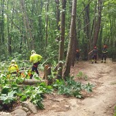 Sanremo, biker si sente male lungo il sentiero di San Romolo, interviene l'elisoccorso