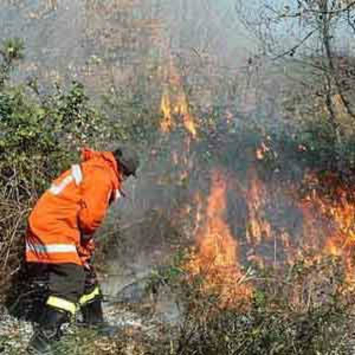 Ceriana: incendio di sterpaglie in corso, Vigili del Fuoco sul posto