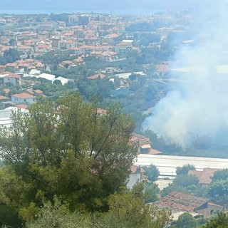 Taggia, incendio di sterpaglie tra le case in regione Peirane