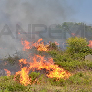 Serie di incendi di sterpaglie durante la notte a Torre Paponi e Terzorio: interventi dei Vigili del Fuoco