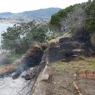 Ventimiglia: incendio di sterpaglie nella zona di Torri, intervento di VVF e Forestale