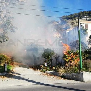 Sanremo: incendio sterpaglie a lato dell'Aurelia, intervento dei vigili del fuoco e della polizia locale