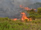 Imperia: non si fermano gli incendi, dopo Santa Brigida e Montegrazie stamattina tocca a Sant'Agata