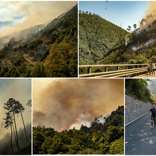 Grosso incendio tra Taggia e Badalucco: strada provinciale a senso unico alternato (foto e video)