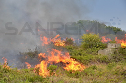 Serie di incendi di sterpaglie durante la notte a Torre Paponi e Terzorio: interventi dei Vigili del Fuoco