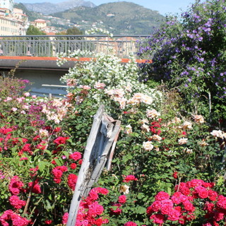 Nelle foto il cosiddetto 'Giardino delle Rose' poi smantellato