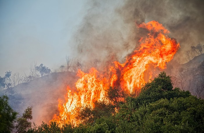 Chiusavecchia, vasto incendio boschivo tra Sarola e Olivastri