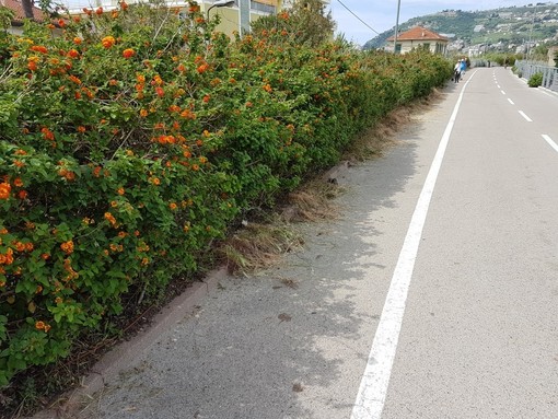 Sanremo: il Comune affida i lavori per la manutenzione della pista ciclabile e delle aree cani