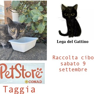 Arma di Taggia: raccolta cibo per gatti randagi al Pet Store dello Spazio Conad