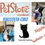 Raccolta cibo per i gatti e gattini randagi al Pet Store di Arma di Taggia