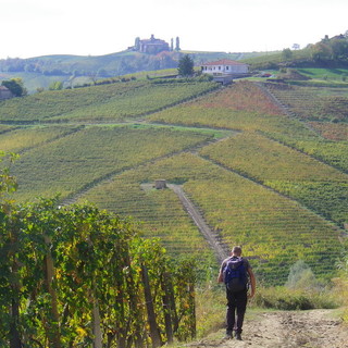 Domenica 30 ottobre 2016, escursione nel cuore delle Langhe, l’anello dei gran cru