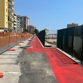 Arma di Taggia, pronti 9 nuovi alberi lungo via della Stazione: ripristinati anche i 15 parcheggi (Foto)