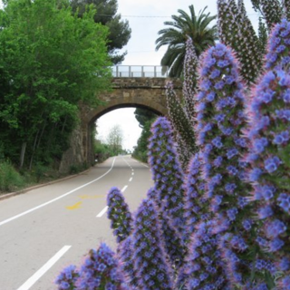 Arma di Taggia: aggressione sulla pista ciclabile, turista racconta la sua tragica disavventura e avvisa altri frequentatori