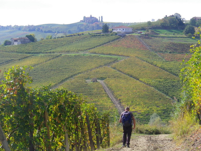 Domenica 30 ottobre 2016, escursione nel cuore delle Langhe, l’anello dei gran cru