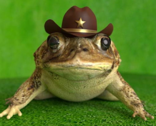 Frog Wif Hat: come comprare la nuova meme coin che fa concorrenza a Dogwifhat