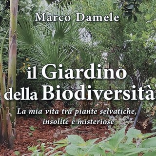 Camporosso, oltre 200 specie vegetali all'interno del 'giardino della biodiversità' di Marco Damele