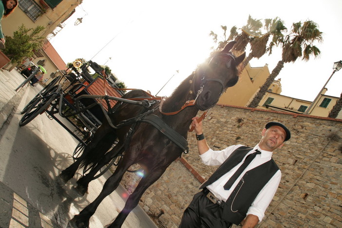 Imperia: sposi a spasso sulla carrozza in città grazie ad Il Mio Ranch