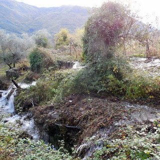 Mancata pulizia torrenti entroterra (foto), alcune forti perplessità di una lettrice