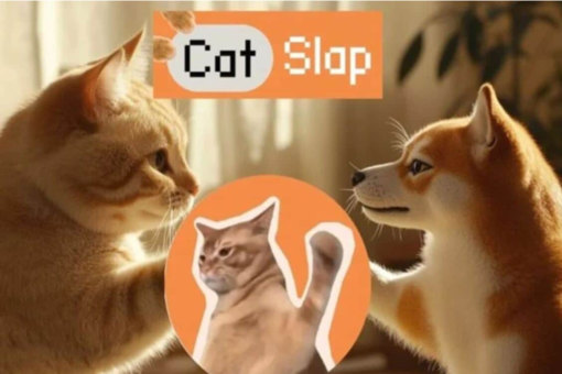 Previsioni Catslap: quanto può crescere la nuova meme coin dopo il listing su MEXC?