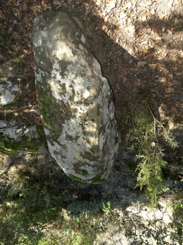 Sanremo: a Monte Bignone un menhir e un altare sacrificale che ricordano l'infanzia delle nostre origini