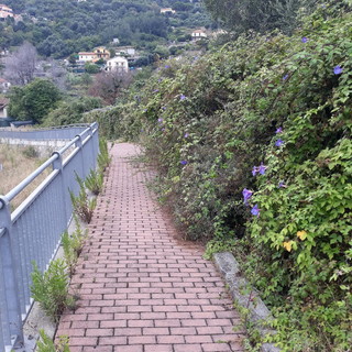 Sanremo: stato di degrado nella mulattiera di Borgo Tinasso, la segnalazione con foto di un residente