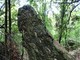 Rocchetta Nervina, in località Paù scoperto un menhir in bilico che saluta la nascita del sole